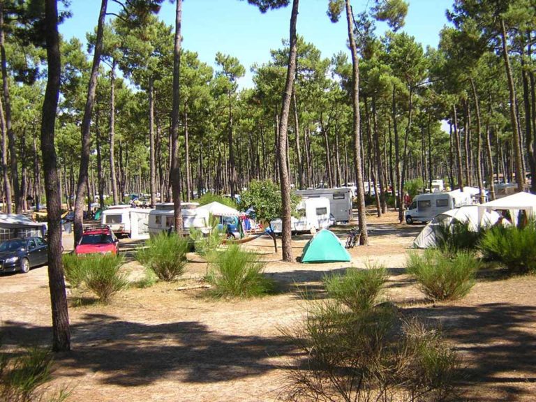 Camping Landes | camping nature foret landaise