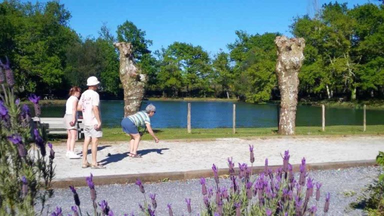 Camping Landes | camping animations adultes petanque